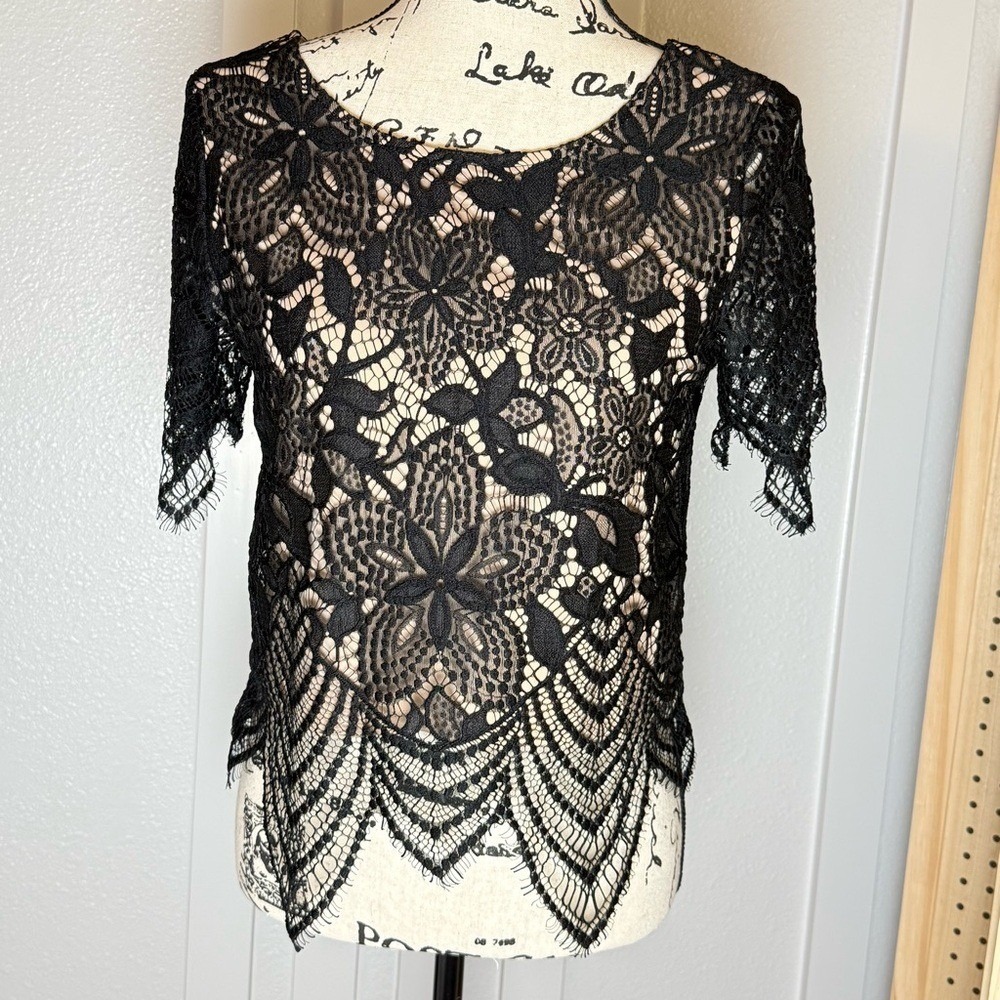 Express Black Lace Crop‎ Top – Size Small